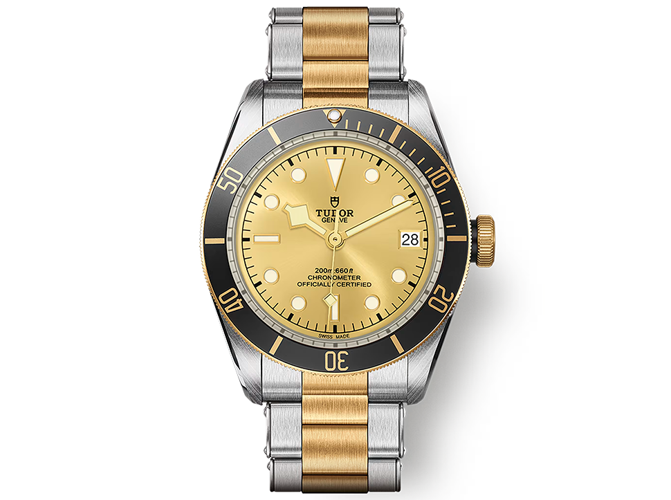 Tudor Black Bay S&G view 4