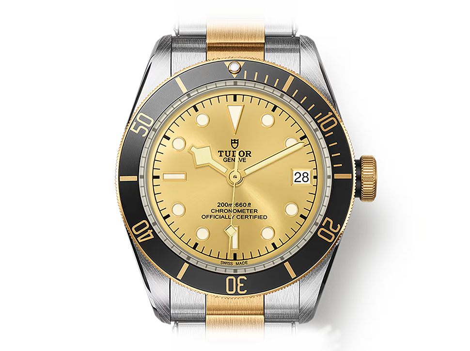 Tudor Black Bay S&G view 5