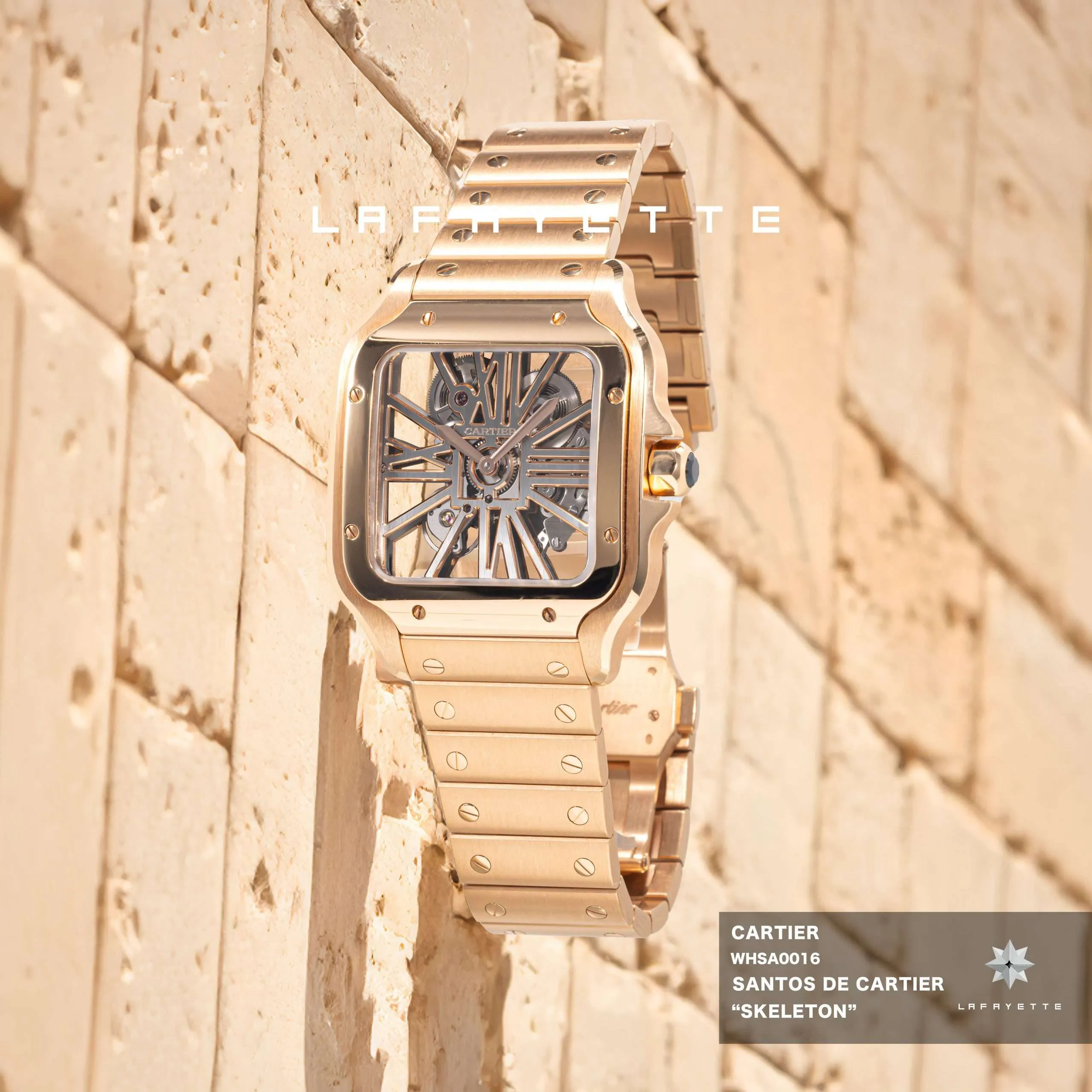 Cartier Santos de Cartier Skeleton view 5