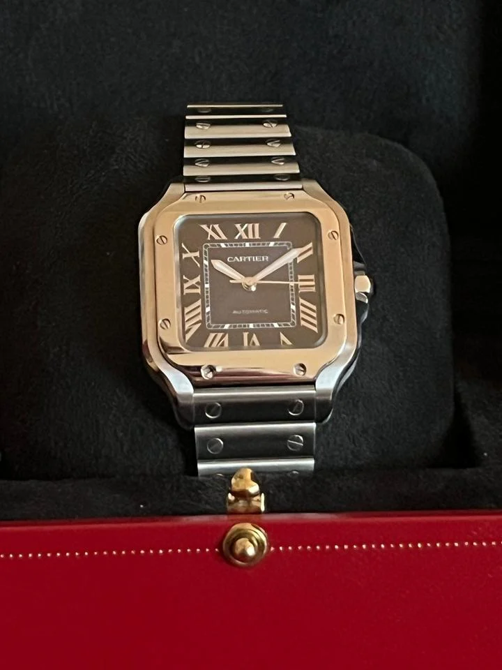 Cartier Santos de Cartier view 5