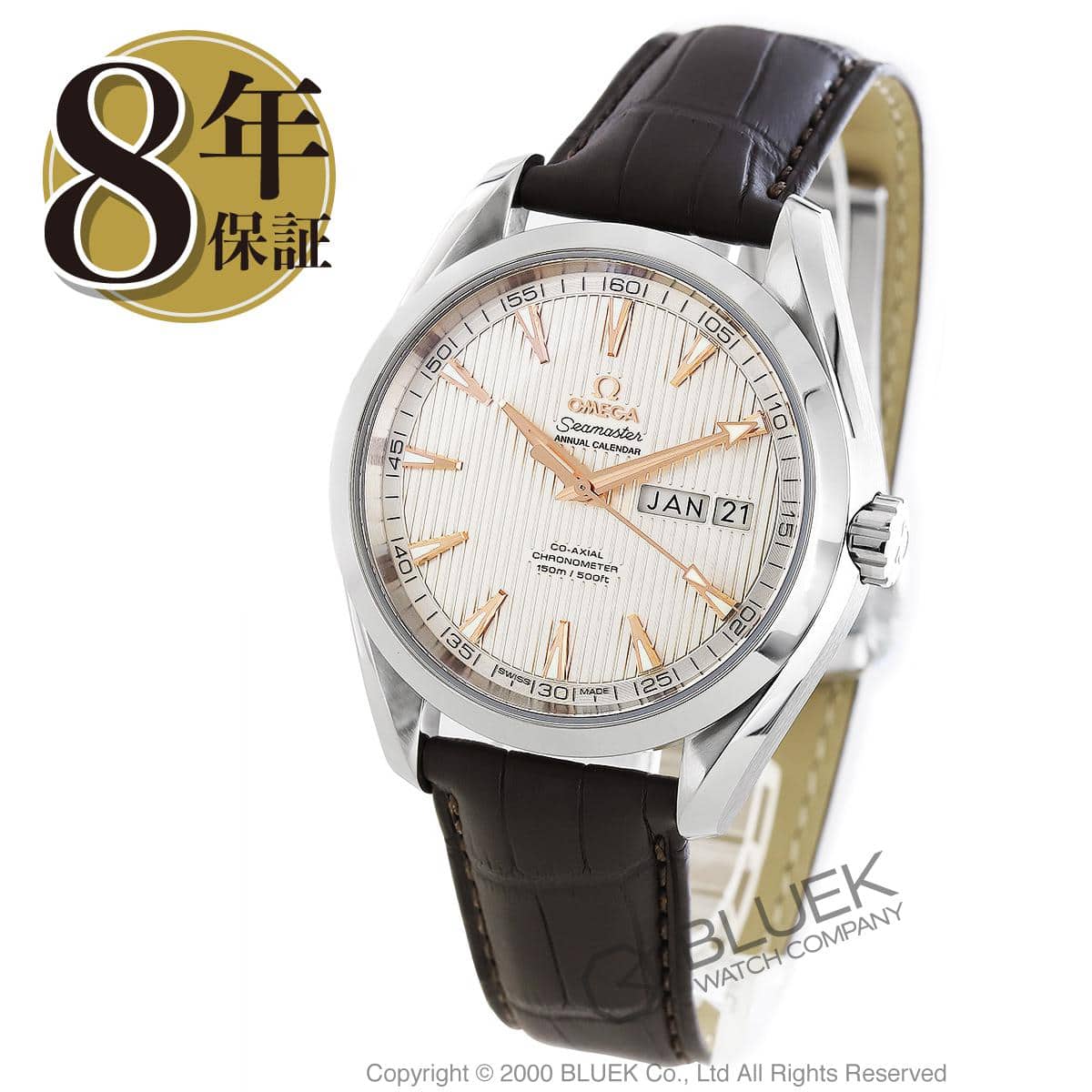 Omega Seamaster Aqua Terra Annual Calendar view 3