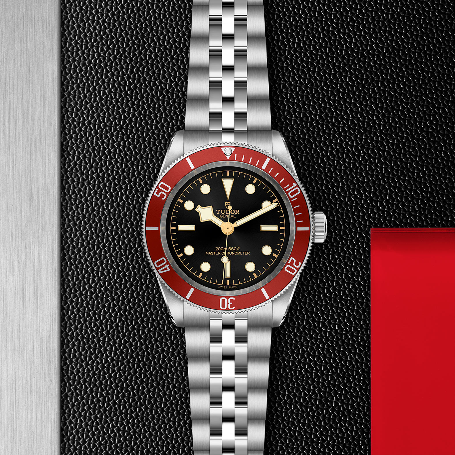 Tudor Black Bay view 3