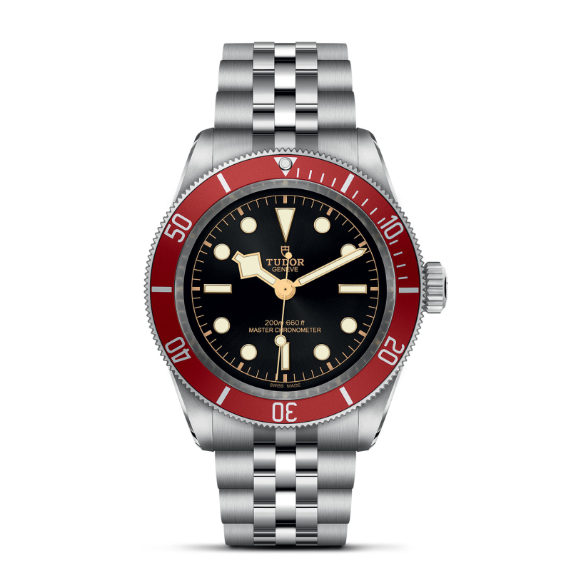 Tudor Black Bay view 2
