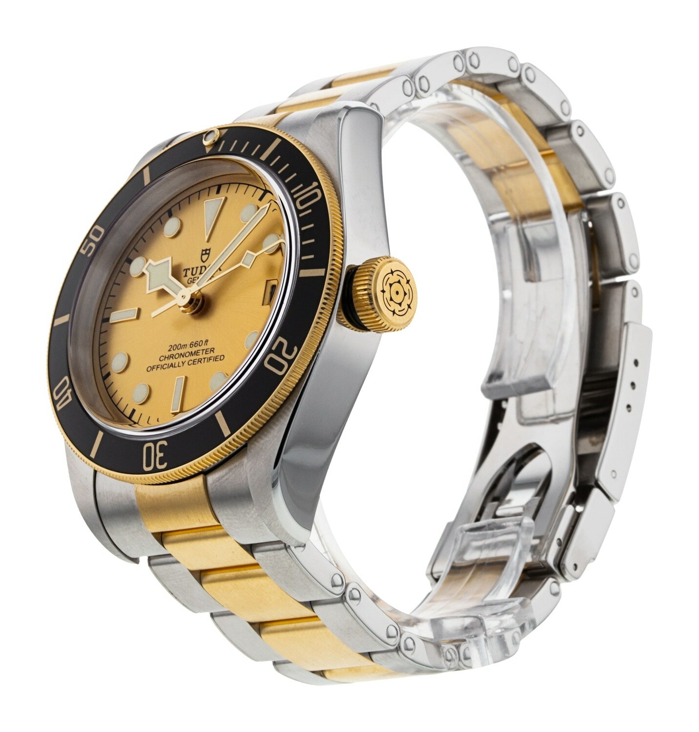 Tudor Black Bay S&G view 2